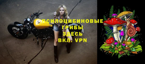 ГАЛЛЮЦИНОГЕННЫЕ ГРИБЫ Фурманов