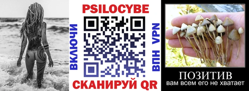 Галлюциногенные грибы MAGIC MUSHROOMS  купить наркотики цена  hydra сайт  Владикавказ 
