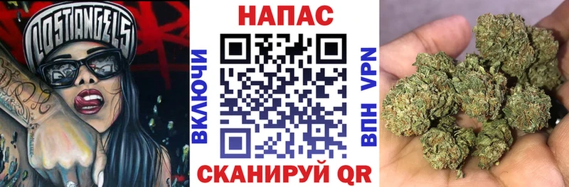 Бошки Шишки Amnesia  Владикавказ 